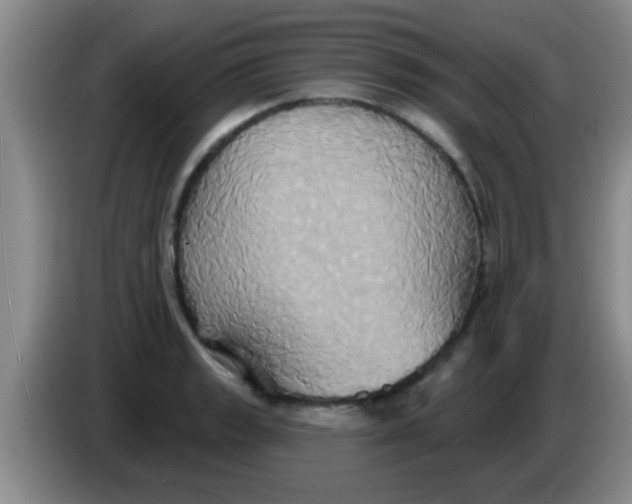 X0000084021133200703091942