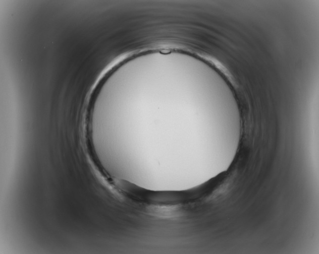 X0000084021134200703091942