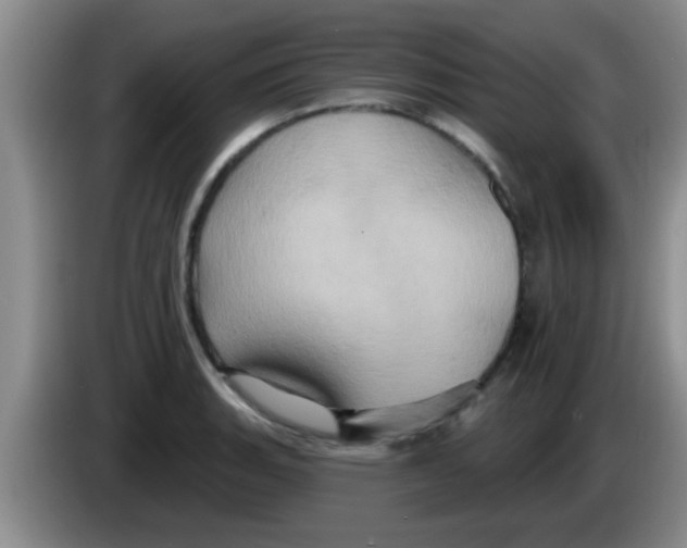 X0000084021135200703091942