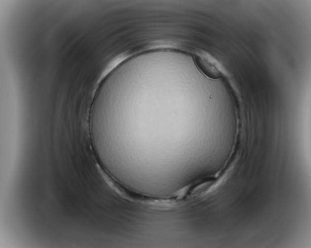 X0000084021137200703091942