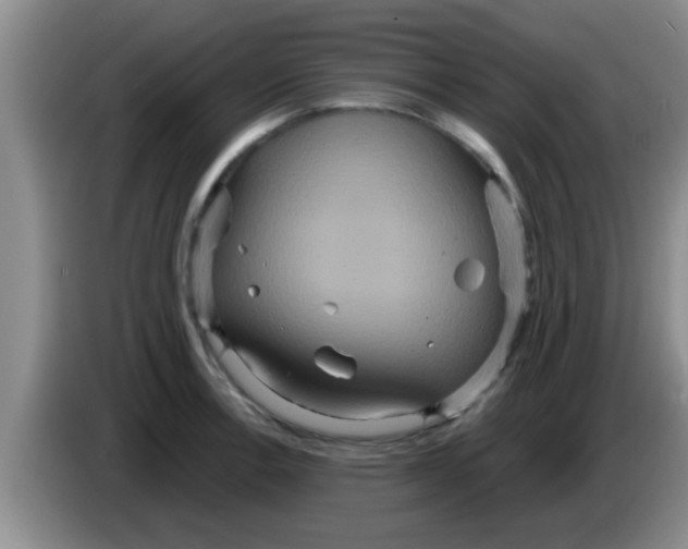 X0000084021138200703091942