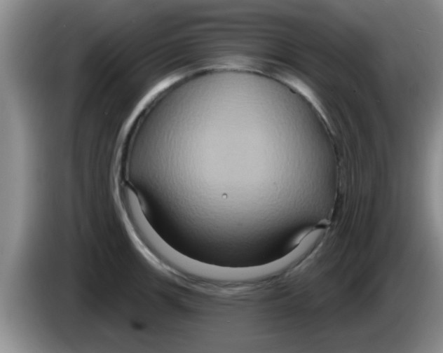 X0000084021139200703091942