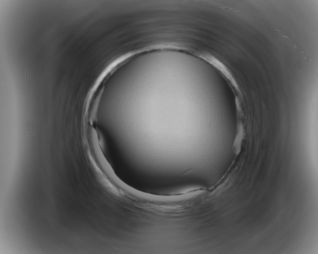 X0000084021140200703091942