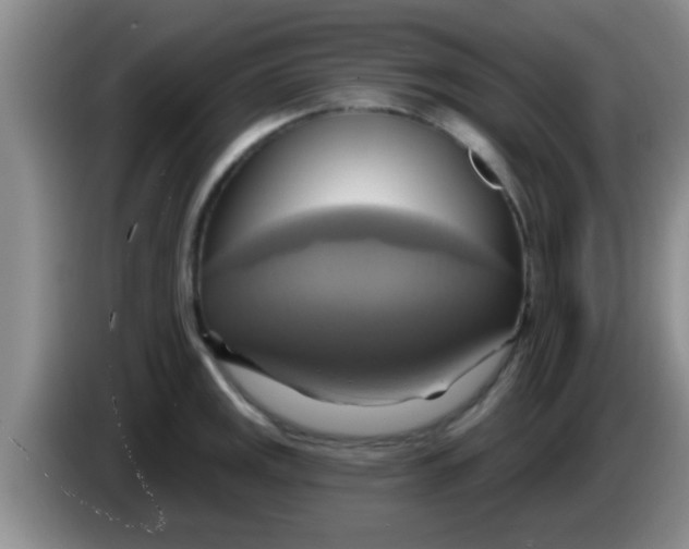 X0000084021141200703091942