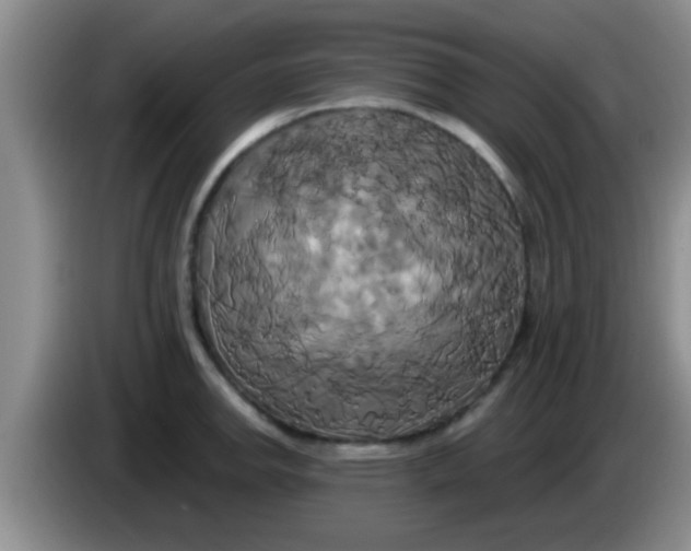 X0000084021142200703091942