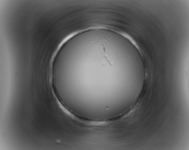 X0000084021143200703091942