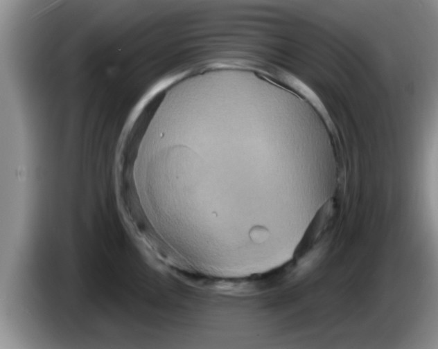 X0000084021146200703091943