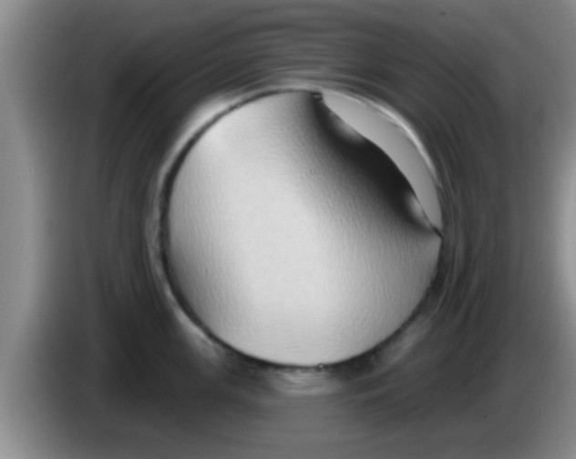 X0000084021147200703091943