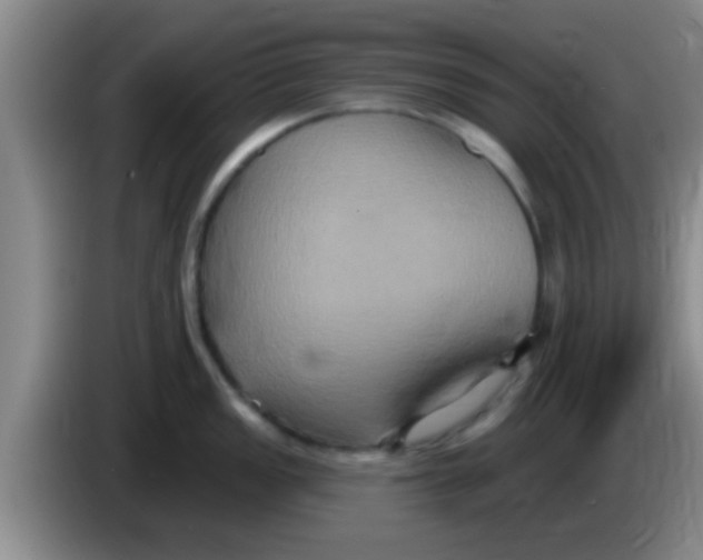 X0000084021149200703091943