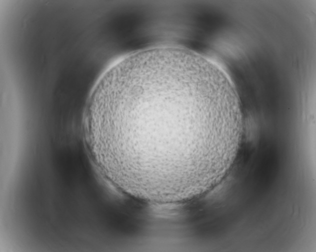 X0000084021150200703091943