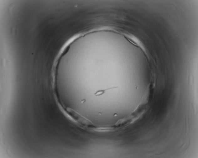 X0000084021151200703091943