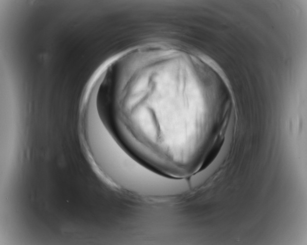 X0000084021152200703091943