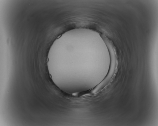 X0000084021153200703091942