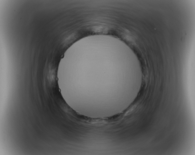 X0000084021154200703091942