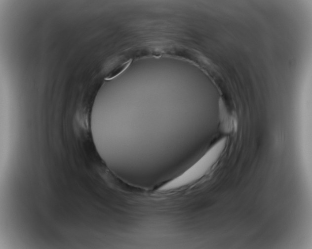 X0000084021155200703091942