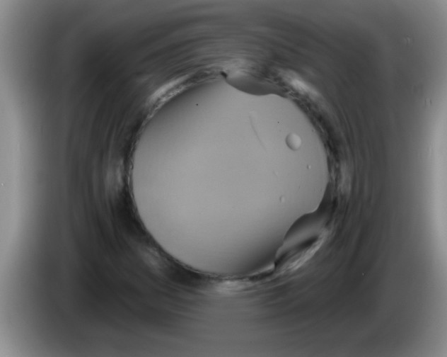 X0000084021161200703091942