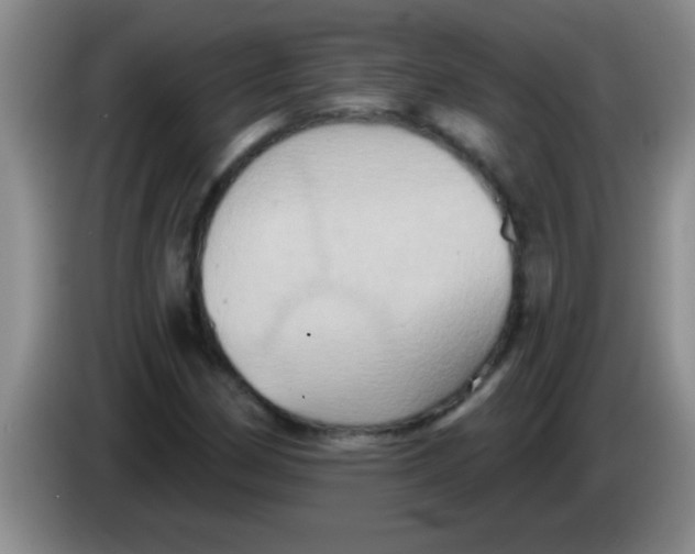 X0000084021162200703091942