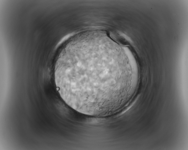 X0000084021163200703091942