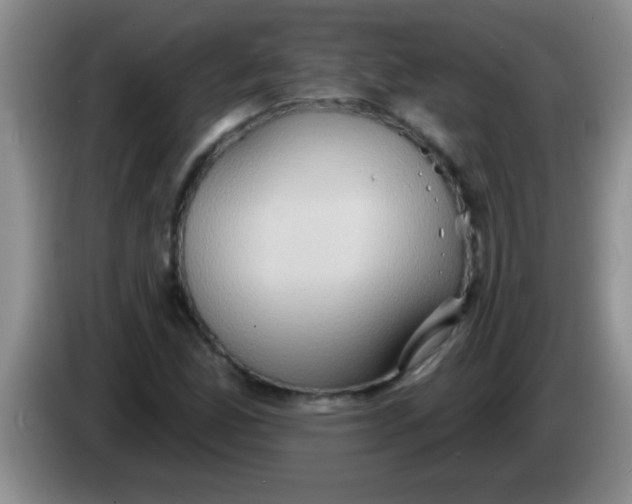 X0000084021165200703091942