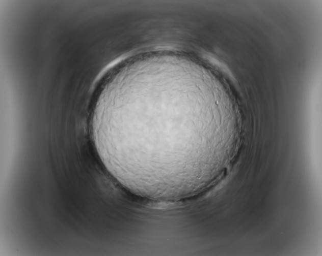 X0000084021166200703091942