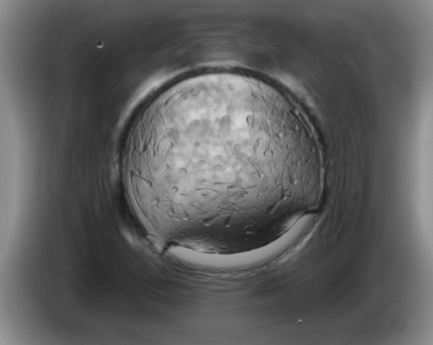 X0000084021167200703091942