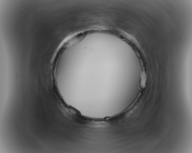 X0000084021168200703091942