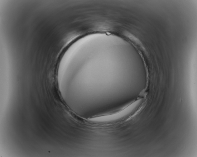 X0000084021170200703091942