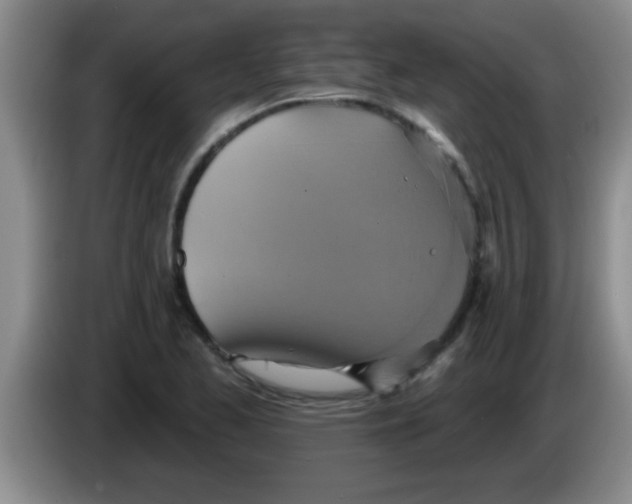 X0000084021173200703091942