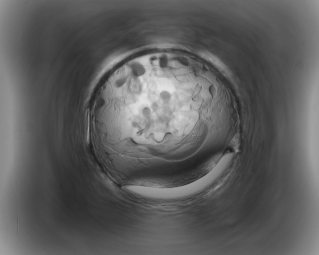 X0000084021175200703091942