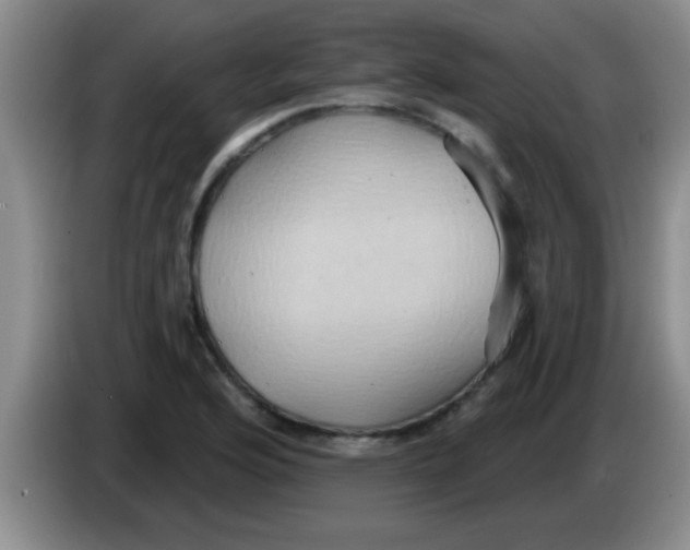 X0000084021176200703091942