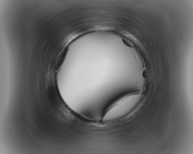 X0000084021177200703091942