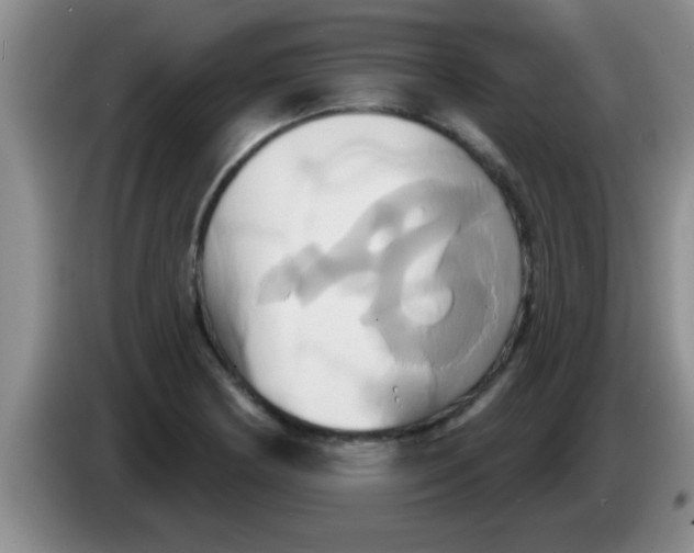 X0000084021178200703091942