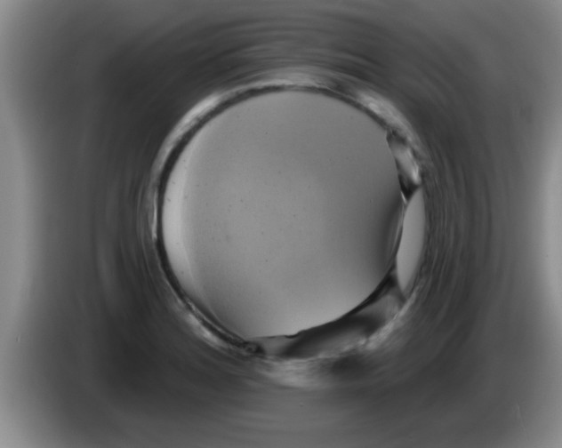 X0000084021180200703091942