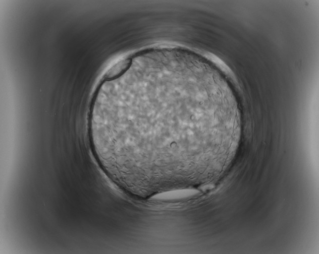 X0000084021183200703091942