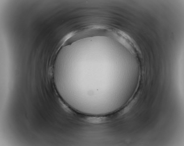 X0000084021185200703091942