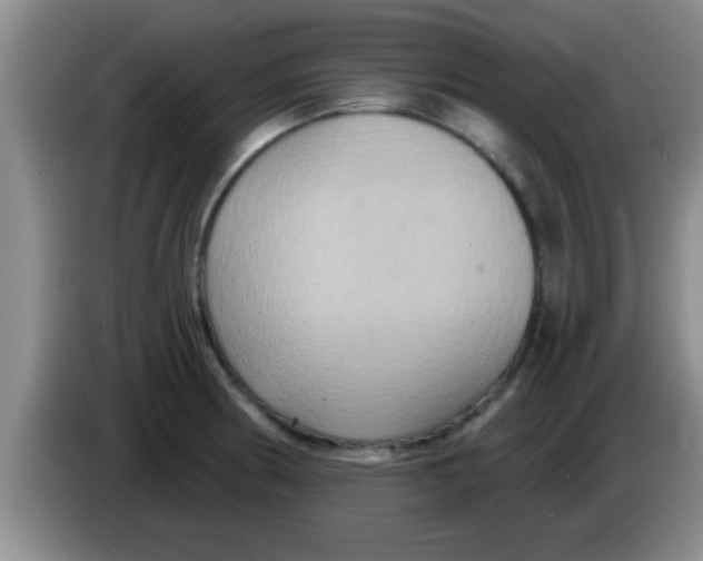 X0000084021186200703091941