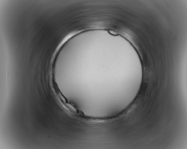 X0000084021187200703091941