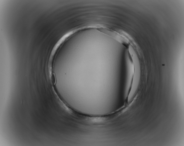 X0000084021188200703091941