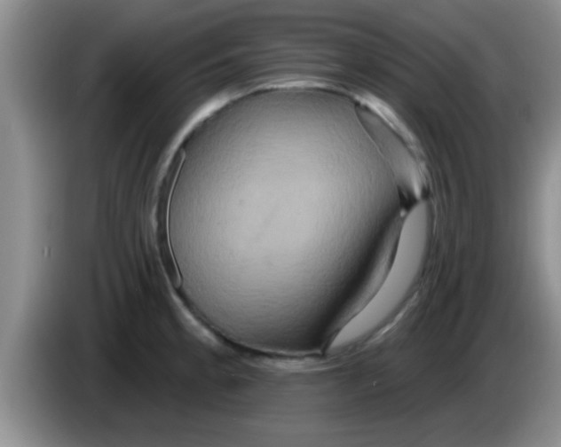 X0000084021189200703091941