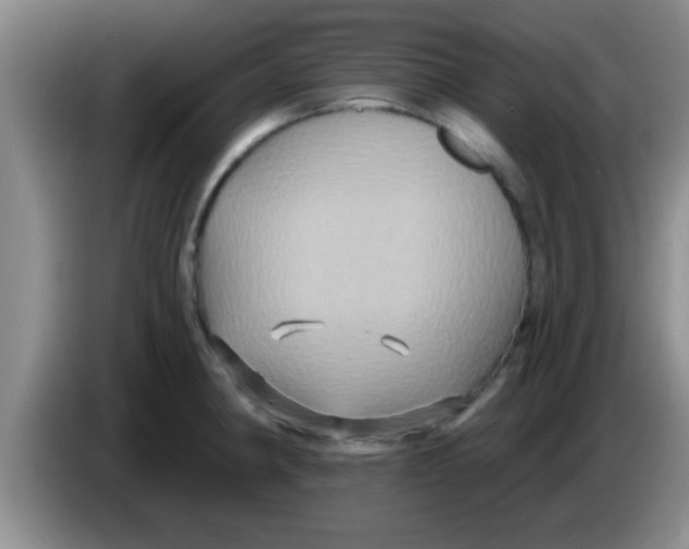 X0000084021190200703091941