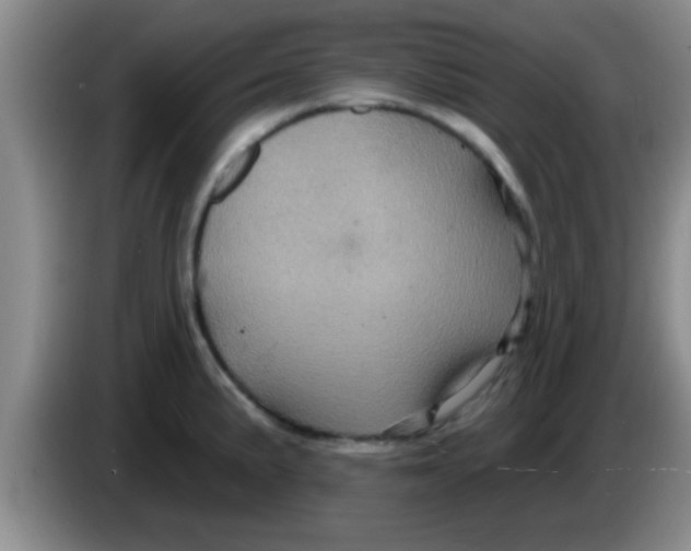 X0000084021191200703091941