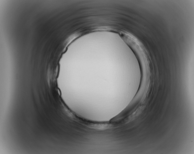 X0000084021193200703091941