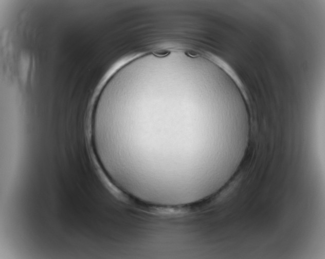 X0000084021195200703091941