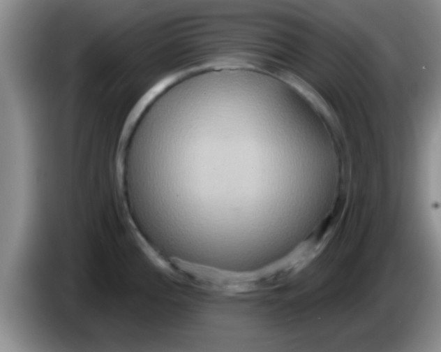 X0000084021196200703091941