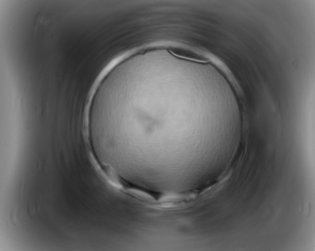 X0000084021199200703091941