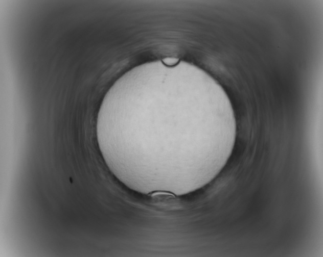 X0000084021201200703091941