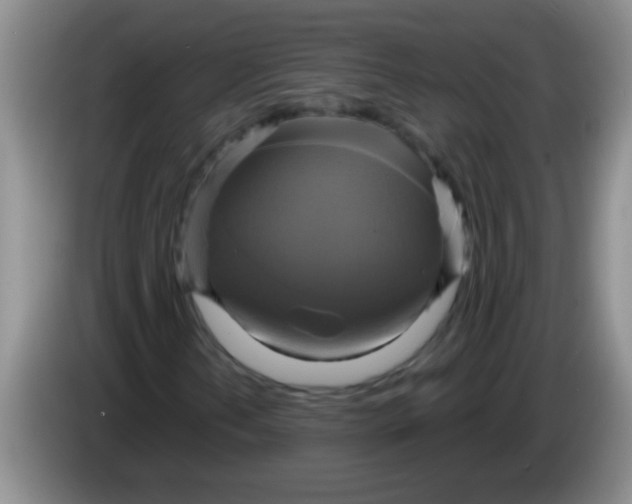 X0000084021202200703091941