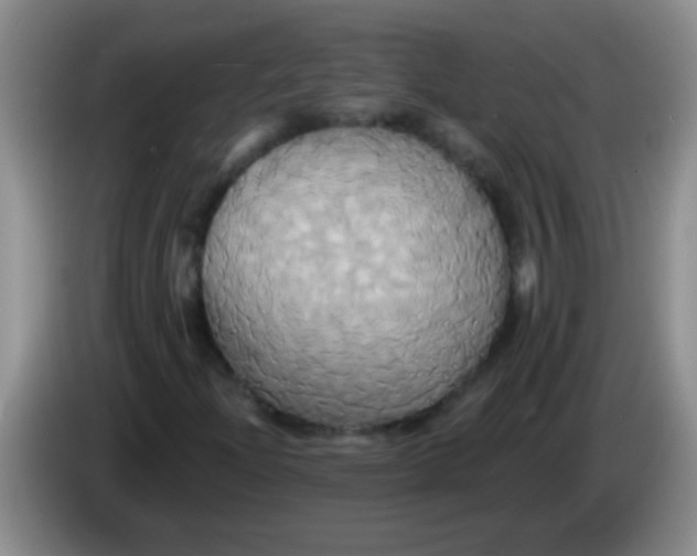 X0000084021204200703091941