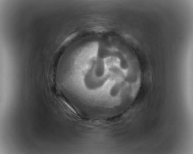 X0000084021205200703091941