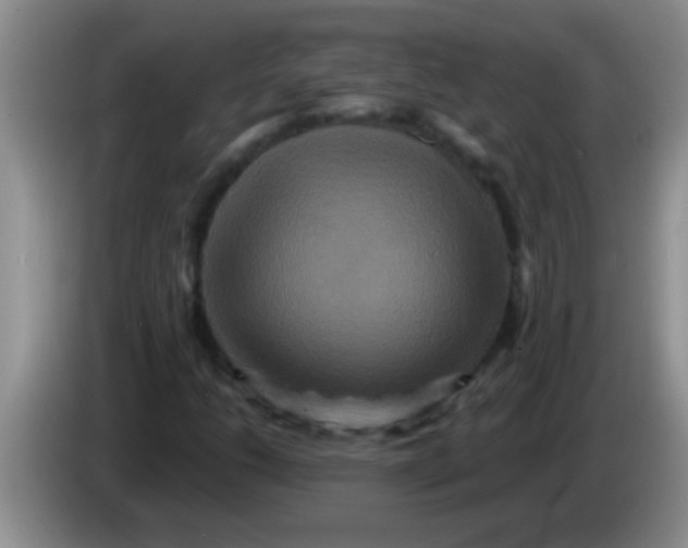 X0000084021206200703091941